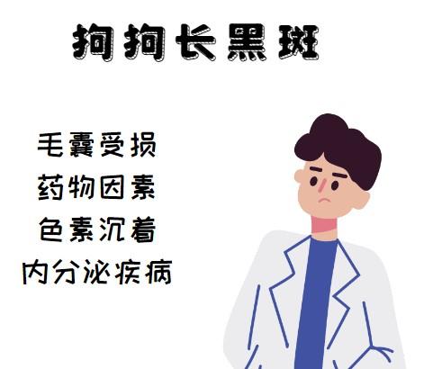 爱犬皮肤危机:面对黑斑,铲屎官该如何行动?
