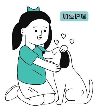博美犬不长毛皮肤变黑怎么办?
