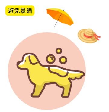 爱犬皮肤危机：面对黑斑，铲屎官该如何行动？