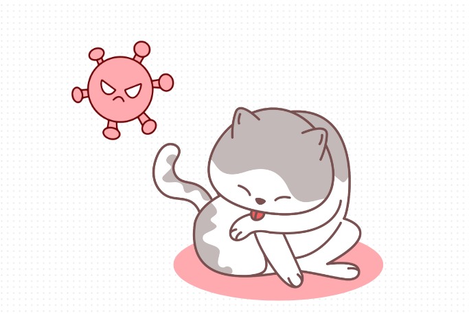 猫癣病因