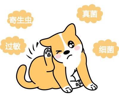 狗狗身上长红疙瘩结痂用什么药?