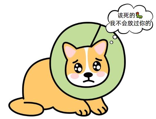 宠物急救:狗狗被虫叮咬后的用药指南