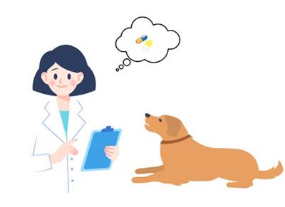 当心！爱犬皮肤红痒背后的秘密