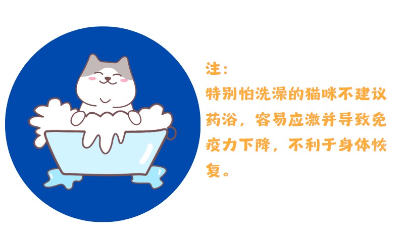 猫癣用什么药浴?