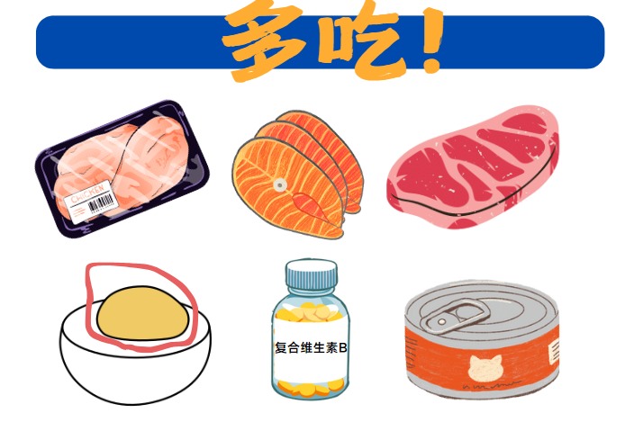 猫咪感染猫癣吃什么?