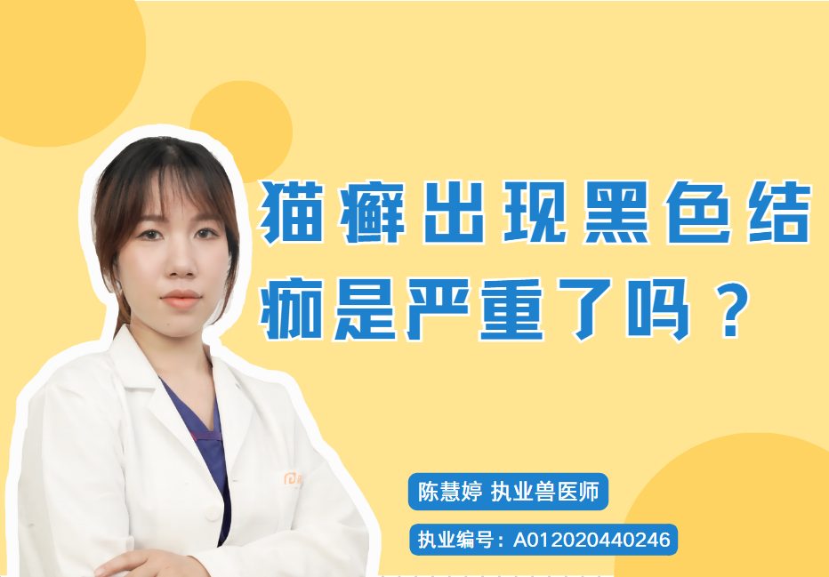 猫癣出现黑色结痂是严重了还是快好了？