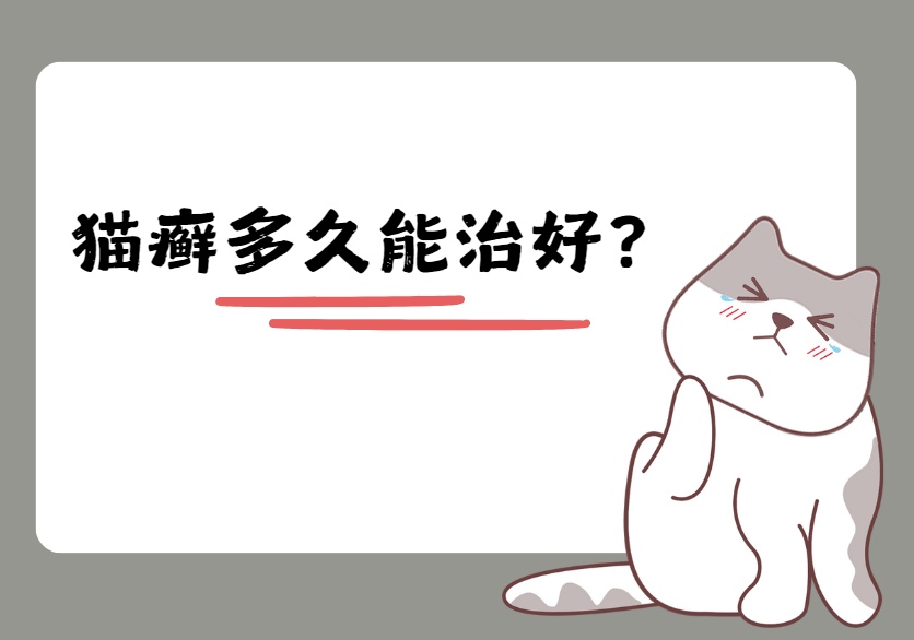 猫咪得了猫癣多久能治好？关键看你怎么治！