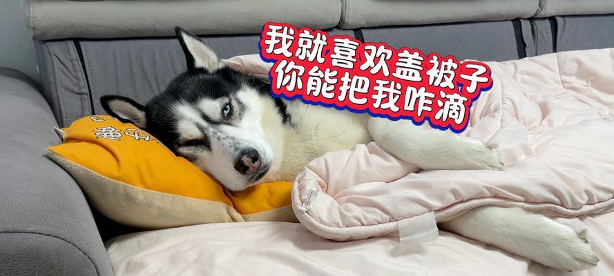 为什么睡觉要盖被子？（睡觉时盖被子的重要性及好处）