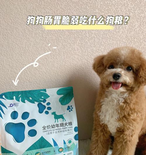狗狗刚出生吃什么奶粉？（了解狗狗出生后的营养需求，选择合适的奶粉。）