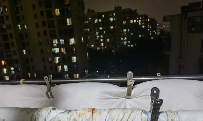 猫为什么突然在床上尿？（探究猫突然在床上尿的原因及解决方法）