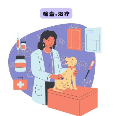 狗狗嘴周红痒掉毛,如何应对?