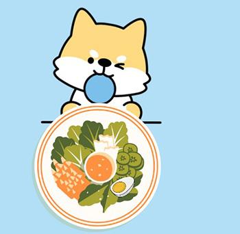 狗狗尾巴脱毛危机,嫩肉显露需呵护!