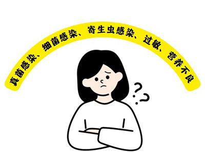 狗狗抓痒不止?用对药物事半功倍!