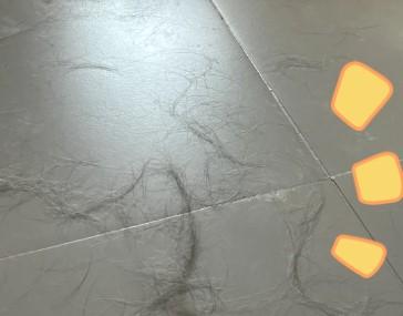 狗狗没有得皮肤病但是不停掉毛，这可怎么办？