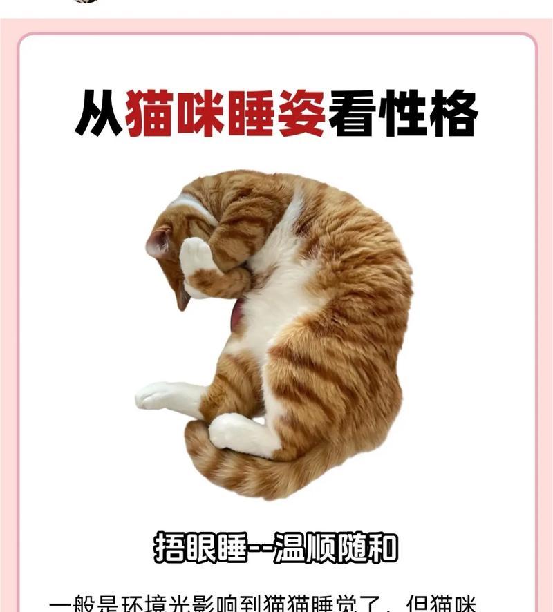 猫咪性格特征大揭秘（探寻猫咪的天性与行为习性，让你更了解你的小伙伴）
