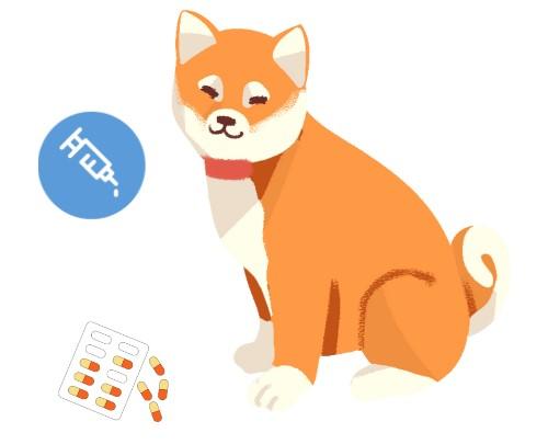 狗狗皮肤病挠破流脓了用什么药?