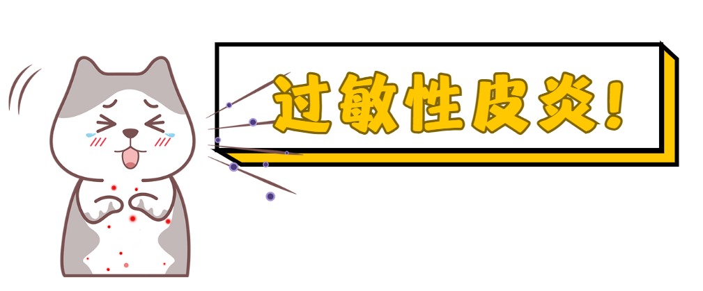 猫咪过敏性皮炎