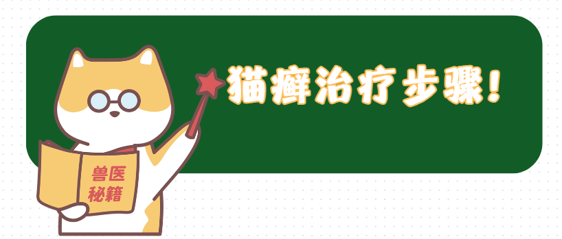 猫癣皮肤红肿怎么治疗?