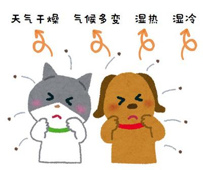狗狗没有皮肤病为什么频繁挠痒?
