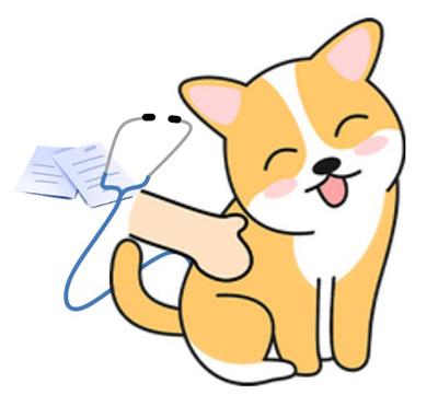 面对狗狗身上的红疙瘩,铲屎官该如何科学应对?