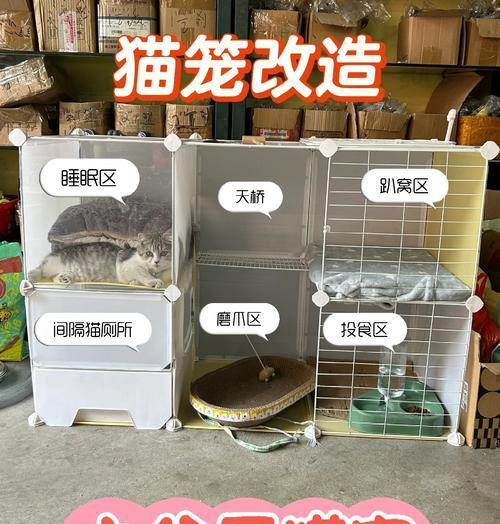 猫咪适应笼子需要多长时间？（猫咪、适应、笼子、时间）