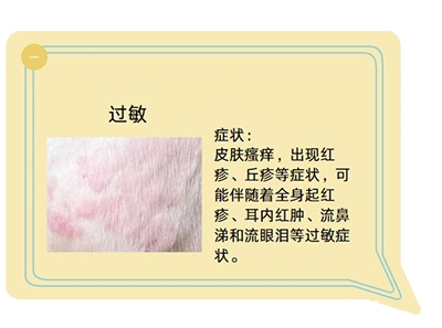 告别爱犬瘙痒与掉毛烦恼：三步解决皮肤病困扰