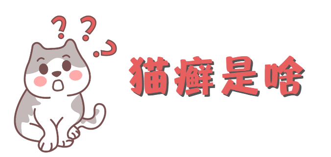 猫咪得猫癣怎么办?