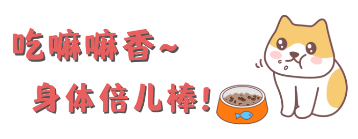 怎么样预防猫咪猫癣?