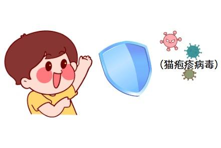 猫鼻支会否传染人类?专家解答来了