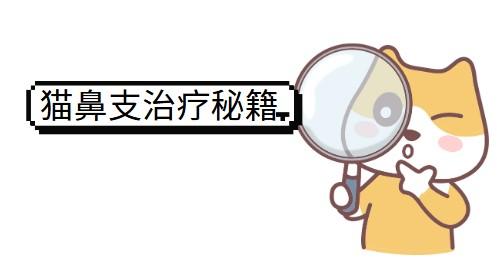 猫鼻支治愈案例大公开:这些方法真的有效!
