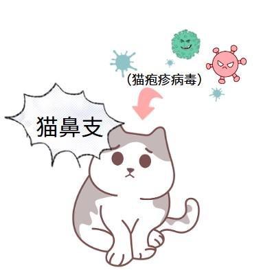 猫鼻支病因知多少？一文讲明