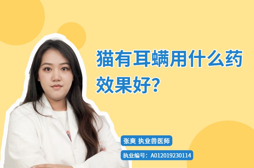 宠物猫有耳螨用什么药效果好?