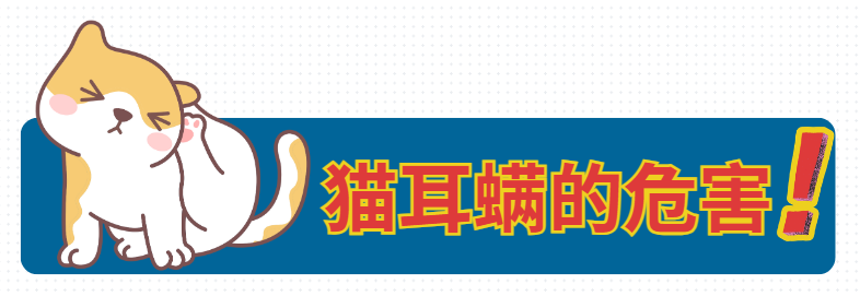 猫咪感染耳螨了怎么办？