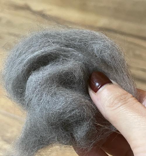 猫毛的梳理频率及注意事项（掌握猫咪毛发梳理的正确节奏，打造健康亮丽的外观）