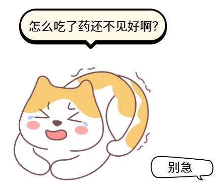 用泛昔洛韦治疗猫鼻支多久见效?