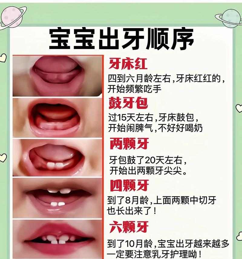 尖牙掉了，多久才能长出来？（解析尖牙脱落和再生的时间周期）