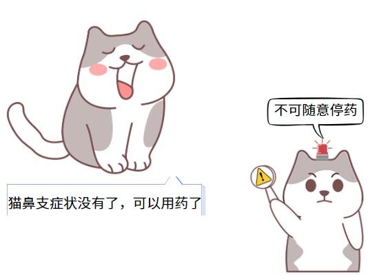 猫鼻支：真的需要一辈子吃药吗？