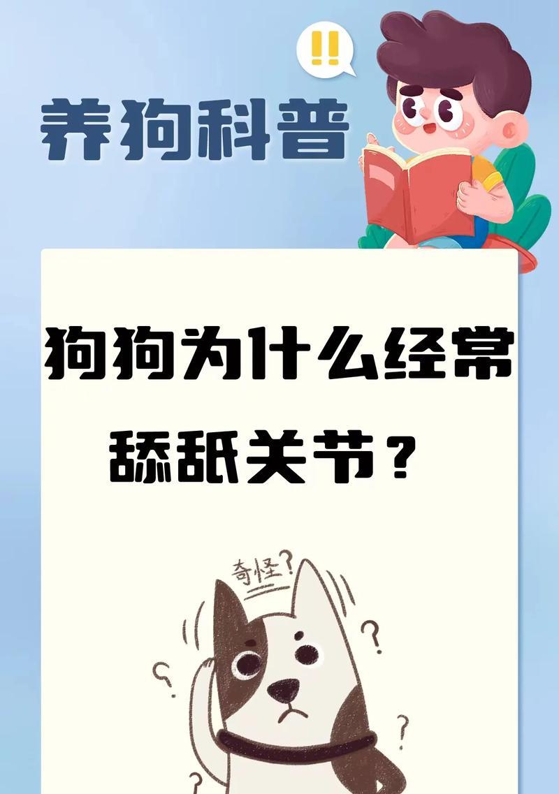 为什么狗狗喜欢舔人？（揭秘狗狗舔人的七大原因）