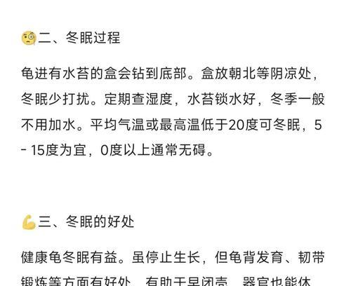 龟的冬眠周期及醒来时间（揭秘龟类冬眠周期和觉醒时间的奥秘）