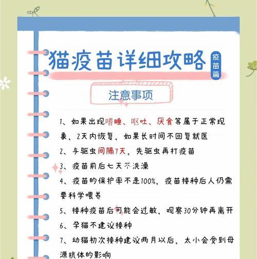 全面了解猫咪饲养知识（猫咪牙齿健康，疫苗保护无忧）