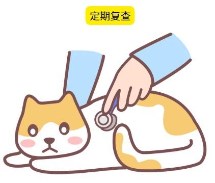猫鼻支不是绝症,请不要轻易放弃猫咪!