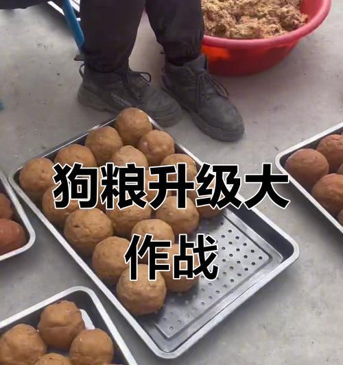 狗狗多久吃成犬粮？（逐渐过渡，确保健康成长）