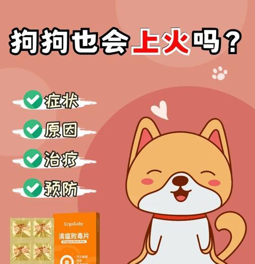 狗狗半夜不停叫的原因及缓解方法（了解半夜狗狗叫的原因，让你和邻居都能安稳入眠）