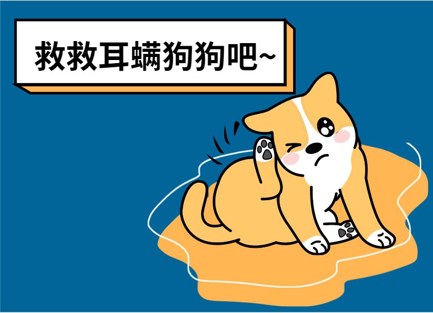 狗狗耳螨用什么药能最快解决？居家省钱版