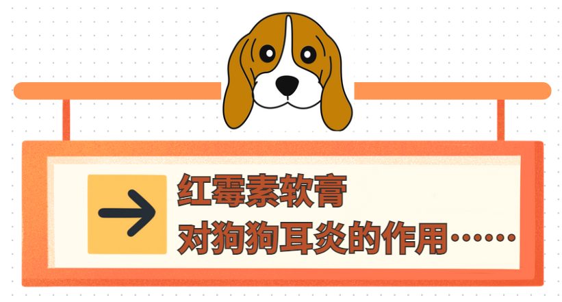 狗狗耳朵流脓可以用红霉素软膏吗？