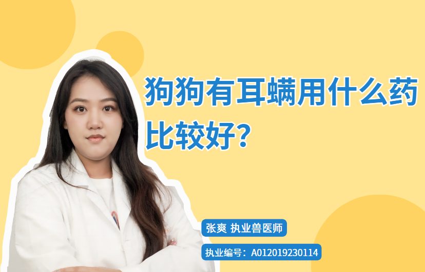 【宠医科普】狗狗有耳螨用什么药比较好？