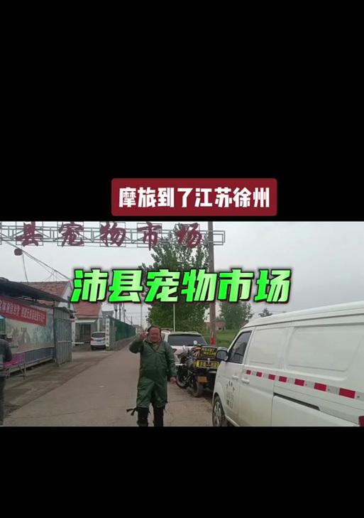 江苏狗市（探秘江苏各地的狗市，体验中国狗文化的热潮）