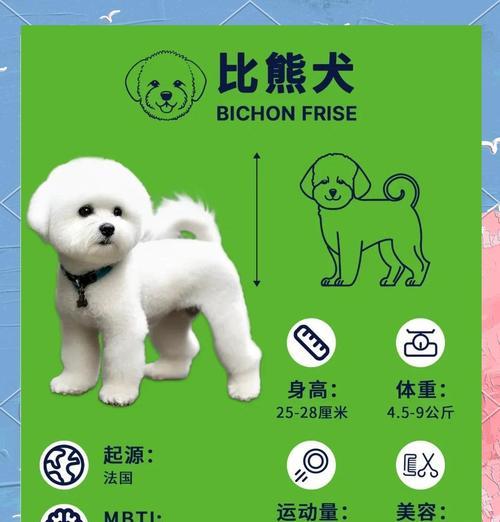 比熊犬选购指南（比熊犬幼崽价格及选购建议）