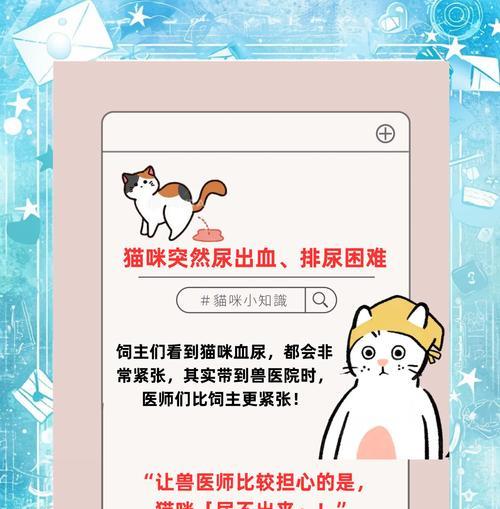 小猫咪的排尿频率及健康指导（揭秘小猫咪的排尿频率，了解如何保持它们的尿液健康）