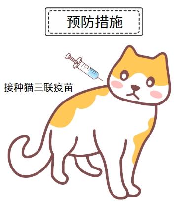 破解猫鼻支终身难题：治愈希望在这里！
